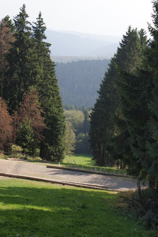 Ferienwohnung Haus Kloosterman Winterberg Eksteriør billede