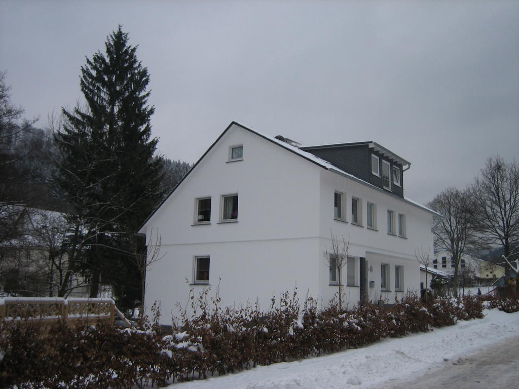 Ferienwohnung Haus Kloosterman Winterberg Eksteriør billede